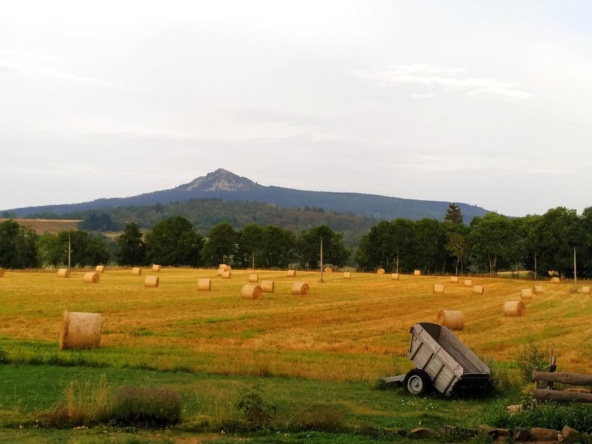 Bed and Breakfast La Ferme De Madelonnet Saint-Jeures Екстер'єр фото